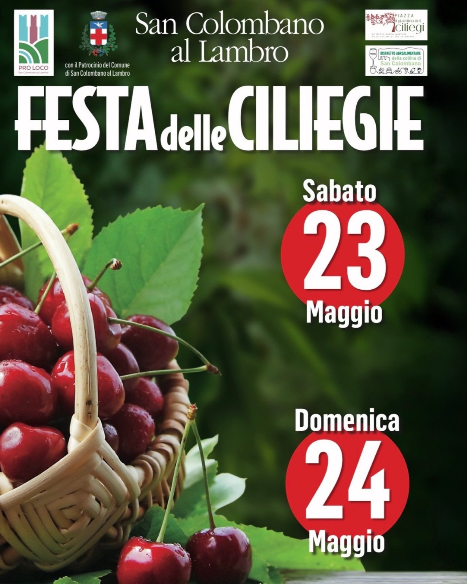 Festa delle Ciliegie San Colombano al Lambro